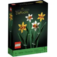 在飛比找蝦皮購物優惠-LEGO 樂高 40646 水仙花 Daffodils