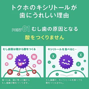 日本直送 LOTTE 樂天 木糖醇口香糖 XYLITOL 口香糖 罐裝口香糖 七彩綜合水果 萊姆薄荷 葡萄薄荷