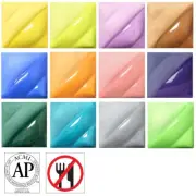AMACO Liquid Underglaze Decorating Colors #812 Class Pack