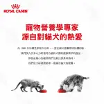 法國皇家 ROYAL CANIN 貓用 RSF26 腎臟嗜口性配方 2KG 處方 貓飼料