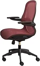 Classic Ergonomic Mesh Office Chair High Back Desk Chair Adjustable Flip-Up Arms, Lumbar Support and Wheels, Swivel Computer Task Chair Desk Task Chair(Red)