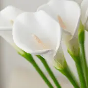 Package of 12 White Artificial Calla Lily 29" Stems