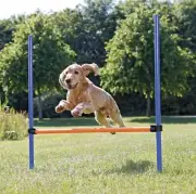 Dog Agility Hurdle Portable Dog Agility Training Adjustable Jumper Exercise Tool
