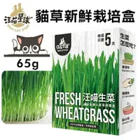 在飛比找樂天市場購物網優惠-DogCatStar汪喵星球 貓草新鮮栽培盒65g 長超快 