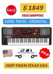 Korg PA700 Oriental 61 Key (NEW)