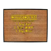 Intelligence Test - Funny Novelty Doormat Man Cave Floor mat