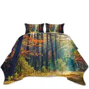 Early Autumn Forest Coverlet