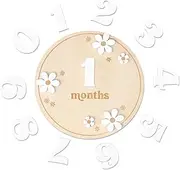 Month Board for Baby - Wooden Monthly Sign, Board | Circular Growth Tracker for Personalized Photo Shoots, Baby Development Updates, Nursery Room Display, Tracking Progress