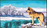 RTO Wolf D'Art Needlepoint Printed Tapestry Canvas 60 x 50cm