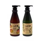 Codi Hand and Body Lotion, 25 fl. oz./750 ml [Mango, Olive] - 2 PACK