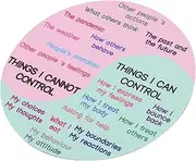 jojofuny Feeling Chart Sticker 4.9 Inch Emotion Wheel Magnet for Counselor - Emotions Chart for Office Home School Classroom Decor Supplies