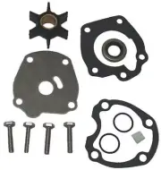 WATER PUMP KIT ASSEMBLY 0389105