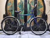 在飛比找Yahoo!奇摩拍賣優惠-捷安特26吋shimano18速腳踏車適合身高160_175