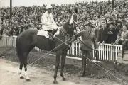 Tranquil Star Cox Plate Winner - 6 x 4 Inches Print * Free Shipping