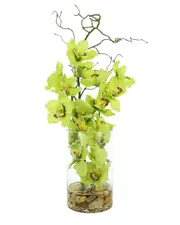 Creative Displays Orchids & Vine In Glass Vase with Rocks