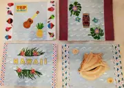 Handmade Greeting Cards -(set of 8) Hawaii Blank Cards with Envelopes