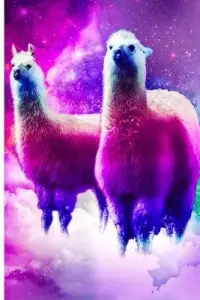 在飛比找博客來優惠-Rainbow Llama In Space Journal