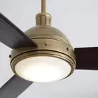 Monte Carlo/ Hicks Fan with light and remote