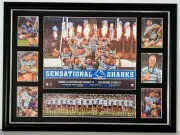 Cronulla Sharks 2016 Premiers Limited Edition NRL Print Framed Luke Lewis Gallen