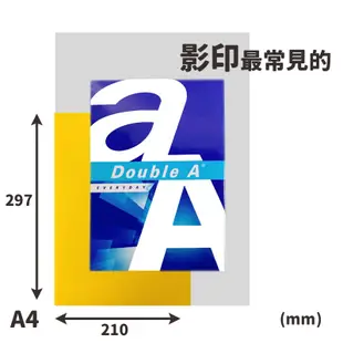 A4 塑膠瓦楞板 PP瓦楞板 厚度3mm/一包5張入(定35) 混色 萬國 PP003 廣告板 210mm x 297mm-萬