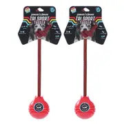 2x Paws & Claws 23x7.6x5.8cm Tri Sport Bone Tugger Dog/Pet Interactive Toys Red
