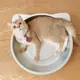 夏季冰涼貓窩 小型犬寵物窩 鋁製冰墊 降溫冰窩 大號凸底 (2.2折)