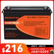12V 100Ah Lithium Iron Phosphate Battery LiFePO4 Cycles Rechargeable Camping RV