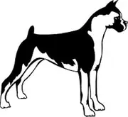 CCI Boxer Dog Standing Decal Vinyl Sticker|Cars Trucks Vans Walls Laptop| Black |5.5 x 5 in|CCI487