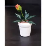 D-22 櫃 現狀品： POTTED PLANTS 盆摘 RE MENT 花圃 配件 盒玩 天富