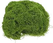 Realistic Artificial Moss Lawn 100g Simulated Moss for Landscaping for Plants Centerpiece Table Decor