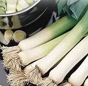 Leek Carentan 100 Seeds Vegetable Garden Autumn Winter Cool Season Easy
