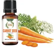 Carrot Seed Or Daucus Carot Essential Oil For Eczema Psoriasis 100% Pure Oil