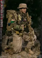 1/6 DAMTOYS 78084 Navy SEALs Medical Male Soldier Operation Red Wing Figure Toy