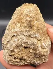 Fossilized Coral Devonian Crystal Indiana Quartz Calcite Limestone 289 Grams