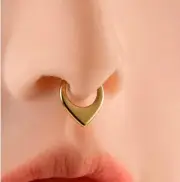 16G 3/8" Titanium Flat Teardrop Hinged Segment Ring Septum Tear Drop Clicker
