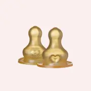 Bottle Nipple 2 Pack by Bibs Dummies | the memo
