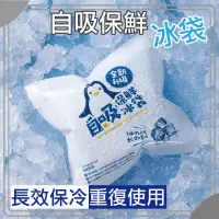 在飛比找蝦皮購物優惠-自吸水冰袋 冰袋 露營用冰袋 冰塊 降溫冰袋 保鮮冷藏袋 保