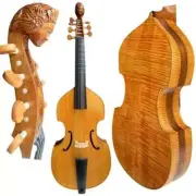 Baroque style carving scroll,rib rosewood 7 string 27" bass viola da gamba