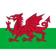 Wales National Flag World Flags Country Poster Huge Wall Art Print Giant