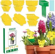 BUGKILLER 30PCS Yellow Fruit Fly Traps for Indoors, Fungus Gnats Sticky Traps for Plants, Gnat Traps for House Indoor, Used for Mosquitoes, Whiteflies, Thrips, Leaf Miners...(Non-Toxic, Dual Sided)