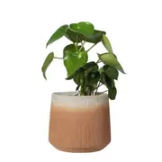 Sill & Sage Horizon Latte Colour Indoor/Outdoor Pots Home Decor Medium 14.5cm