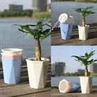 for Indoor Plants Plant Pot with Drainage Hole Desktop Plants Pot