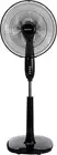 Oscillating Dual Blade Standing Pedestal Fan with Remote - 16-Inch, Black