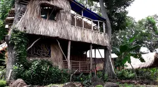 El Bamboo Cabins