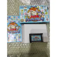 在飛比找蝦皮購物優惠-日版~~ 哈姆太郎 GBA SP GBM NDSL 日規主機