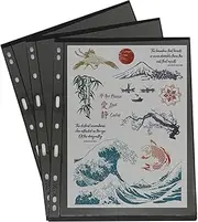 PCCB MINGT 10Pcs Standard 9-Hole Black Double-Sided Album Inner Sheets Card Stamp Banknote Collection Album Inserts Pages For Coin Collecting And Supplies (Single Pocket)