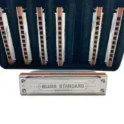 EASTTOP Dual Harmonica 7-Piece Set PRO10 Wooden Comb Blues Dual Harmonica