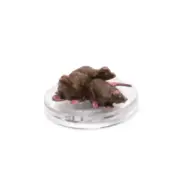 Cranium Rat Swarm - Monsters of the Multiverse #07