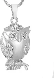 DOTUIARG Crystal Owl Cremation Necklace Urn for Ashes Loss of Pet Stainless Steel Keepsake Memorial Urn Jewelry Pendant