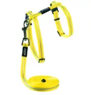 Rogz Alleycat Harness & Lead Set - Yellow XSmall
